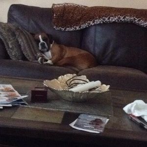 Meet your Posher, Anthony